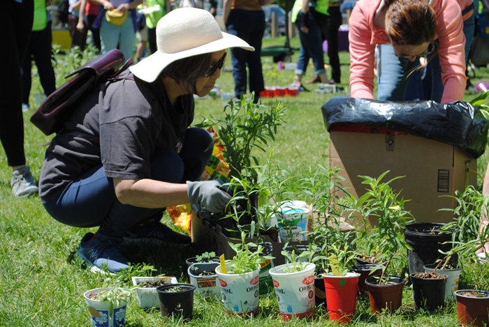 A person in a white sunhat crouches on grass, arranging potted seedlings during an outdoor plant event.